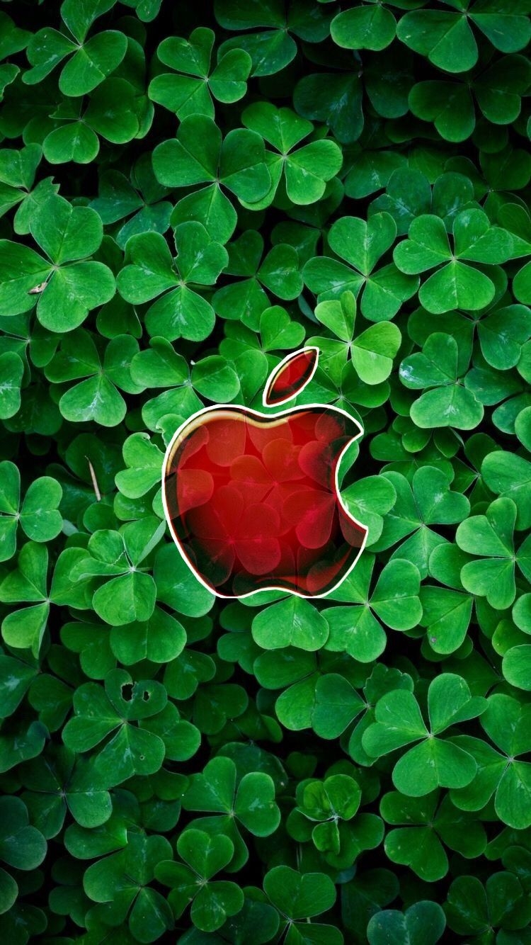 hình nền quả táo iPhone 4K ảnh 11