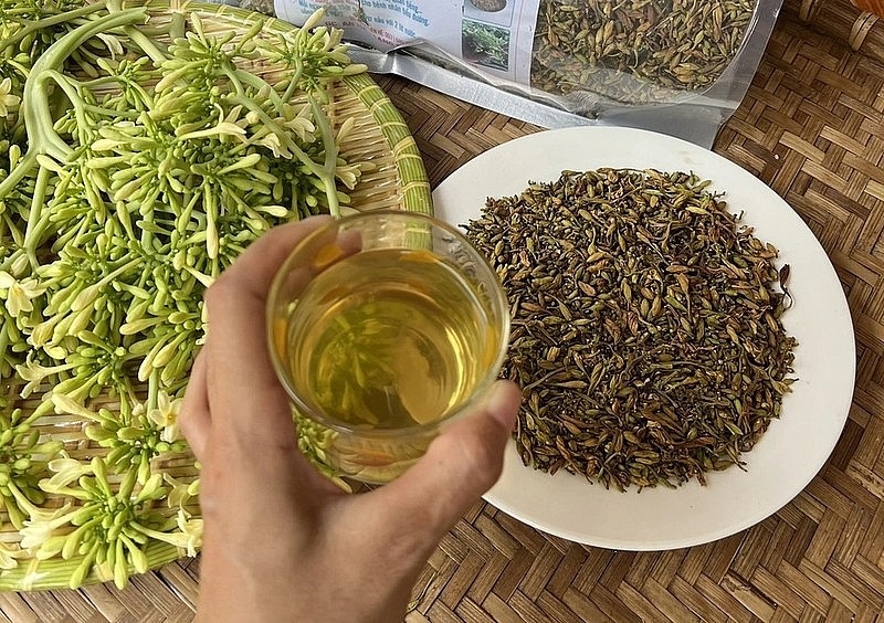 Hoa đu đủ đực có tác dụng gì 2.jpg