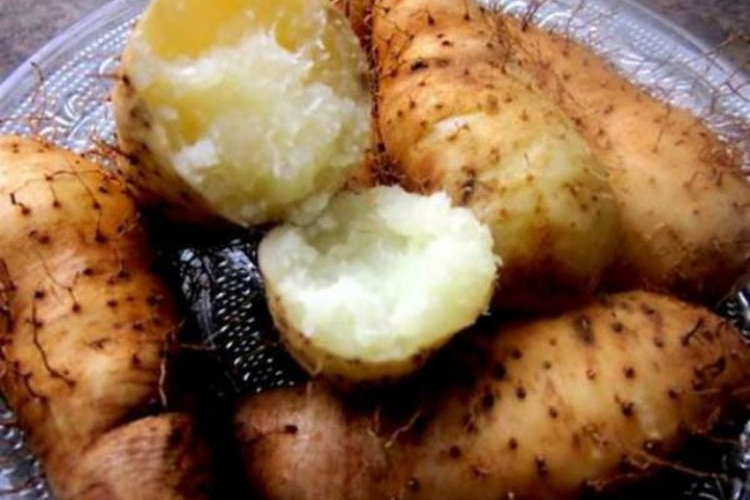 Khoai từ 7