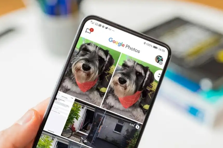 Khôi phục ảnh đã xóa vĩnh viễn trên Google Photos (1)