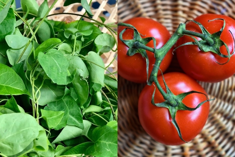 Lẩu bò nhúng lá giang 8