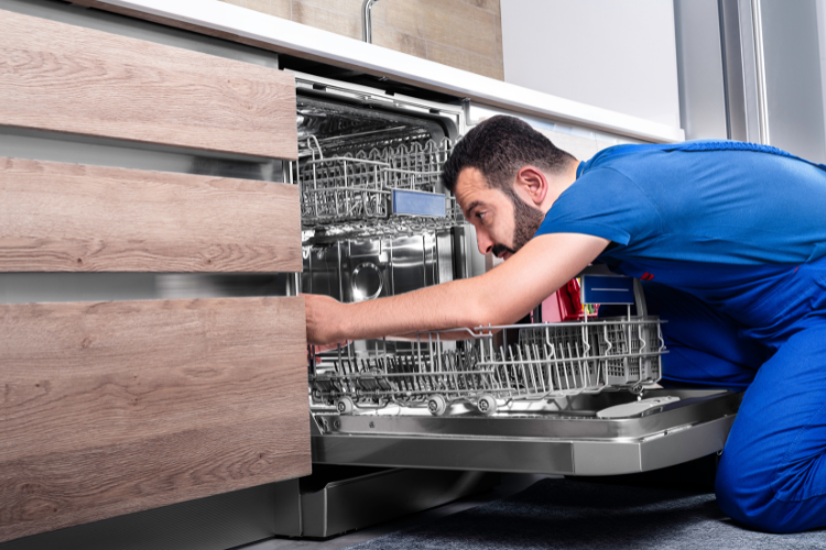 lỗi E19 máy rửa bát Bosch hình 5