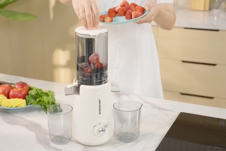 Máy ép chậm làm kem Sunhouse (11)
