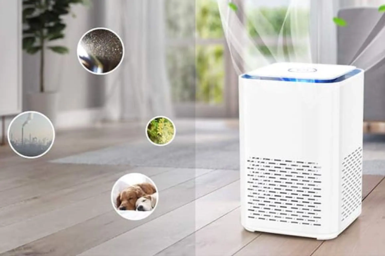 M&aacute;y h&uacute;t ẩm h&atilde;ng n&agrave;o tốt 2026 (7)