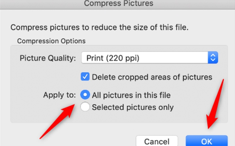 Máy in nhận lệnh chậm (ảnh 5)