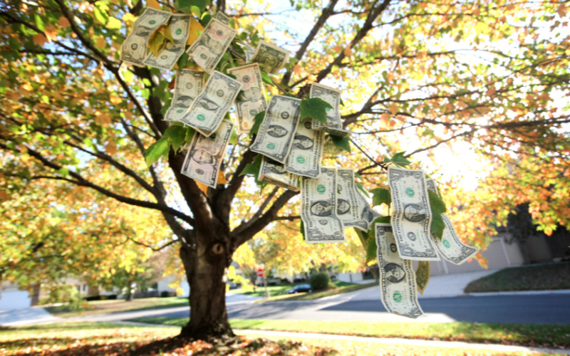 Mệnh thổ hợp màu đen không (ảnh 3)