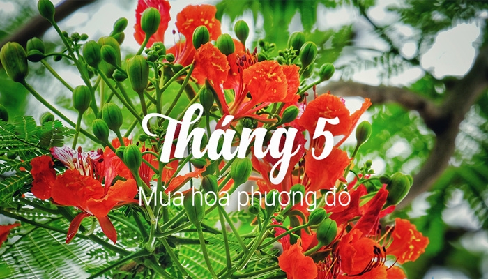 Ngày đẹp tháng 5 2026 5.jpg