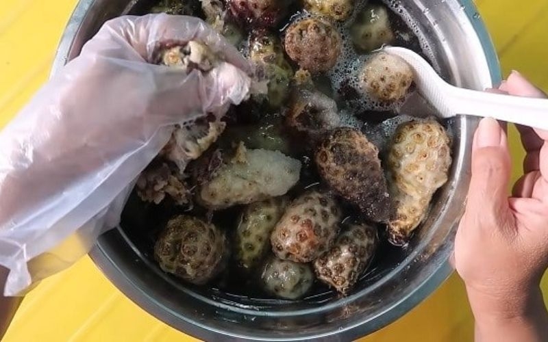 Quá trình ngâm nhàu