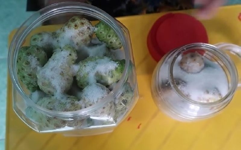 Rải đường phèn lên nhàu