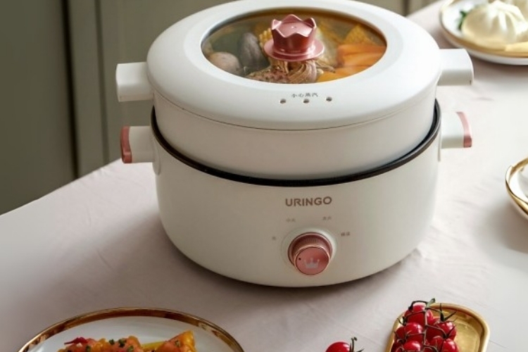 Nồi lẩu điện 2 tầng (4)