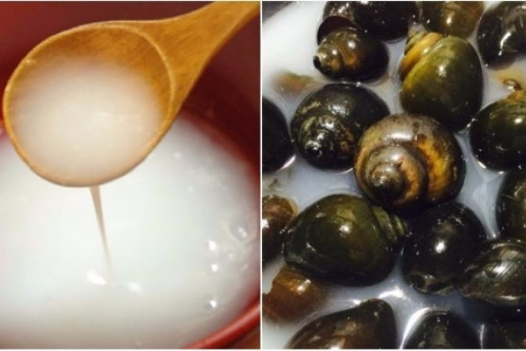 ốc hấp lá gừng 3