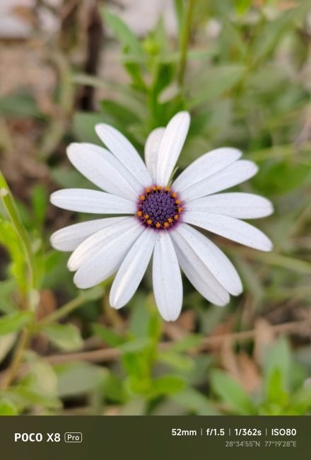 Đánh giá camera POCO X8 Pro - 5