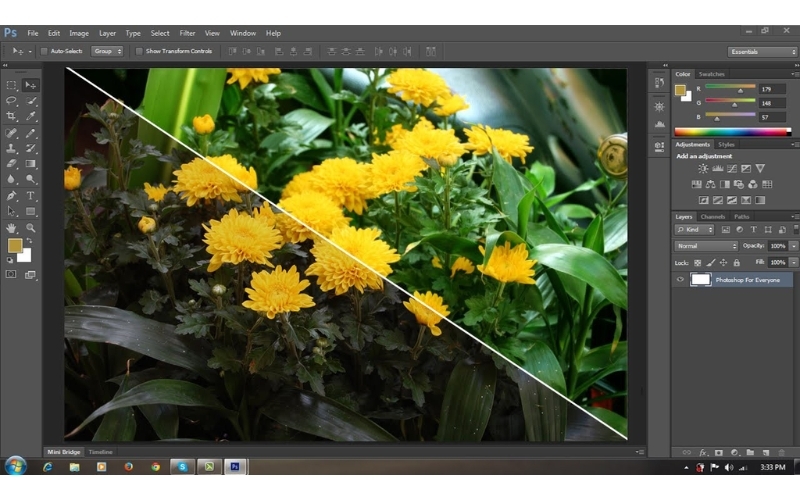 Photoshop Portable là gì 3.jpg