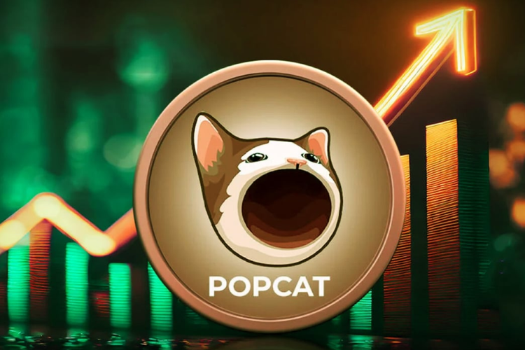Pop Cat hình 3