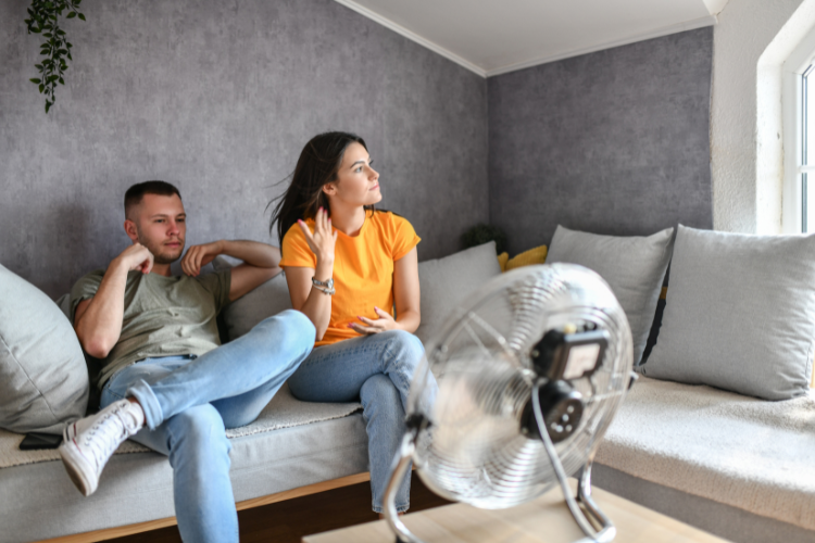 Quạt không có tụ có chạy được không hình 5
