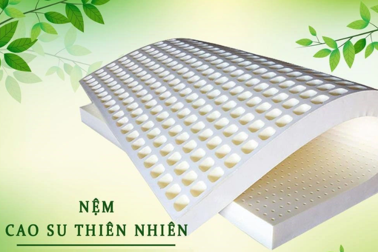 So sánh nệm cao su non và cao su thiên nhiên 1