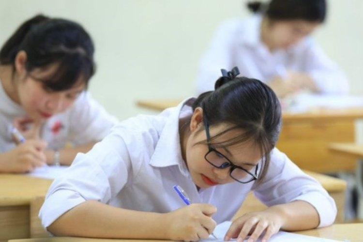 T00 gồm những môn nào? Ngành nào ảnh 1