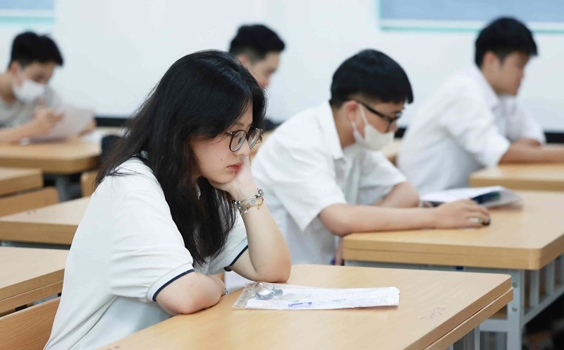 T01 gồm những môn nào? Ngành nào ảnh 7