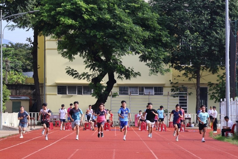 T01 gồm những môn nào? Ngành nào ảnh 11