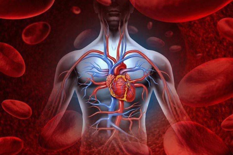 Tác hại của máy rung toàn thân 2