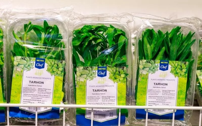 Tarragon 6