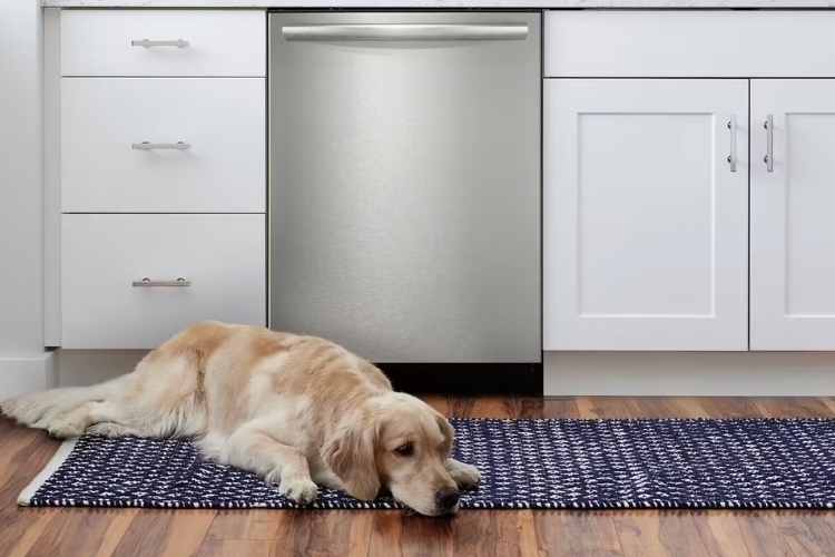 Tính năng Beam-on-Floor (3)