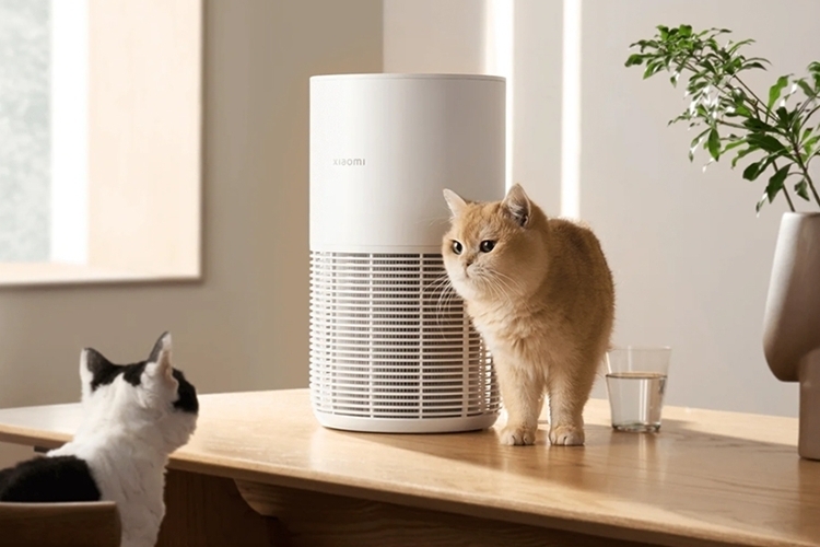 Top máy lọc không khí phòng nhỏ tốt nhất (5)