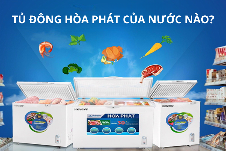 Tủ đông Hòa Phát của nước nào 1