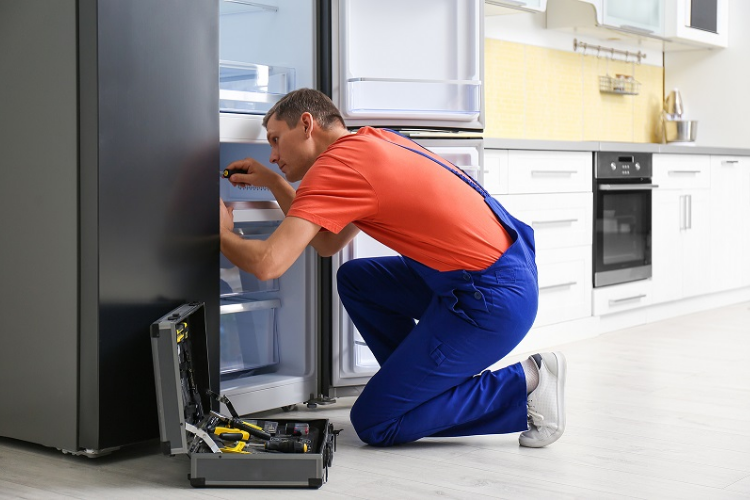 Tủ lạnh Beko báo lỗi chấm than 5