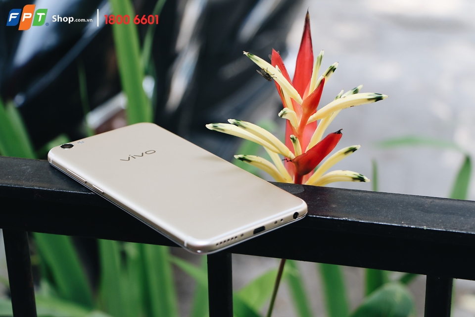 Vivo V5s
