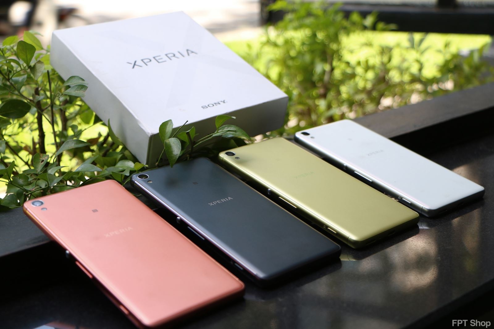 Sony Sony