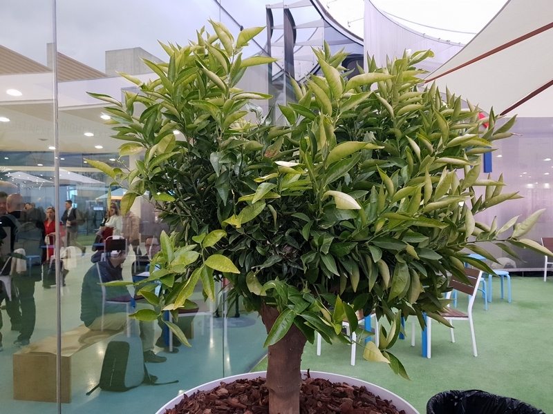 Ảnh chụp từ camera khẩu độ F/1.5 của Galaxy S9+ Ảnh chụp từ camera khẩu độ F/1.5 của Galaxy S9+