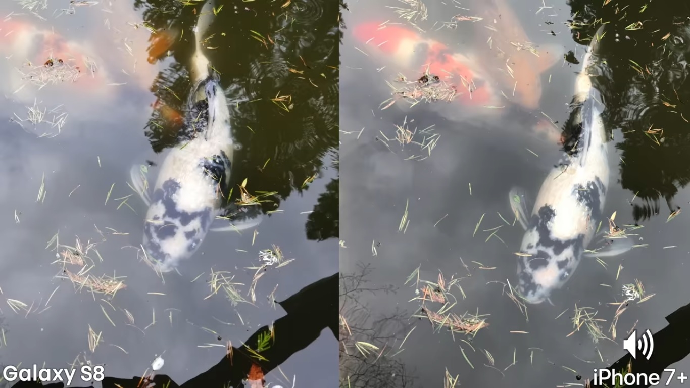 Đọ camera Galaxy S8 vs iPhone 7 Plus: Camera đơn thắng máy ảnh kép?