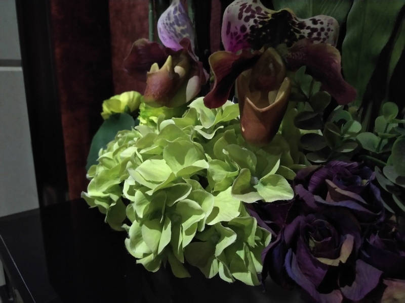 Đây là những hình ảnh đầu tiên chụp từ camera 16MP Zeiss của Nokia 7