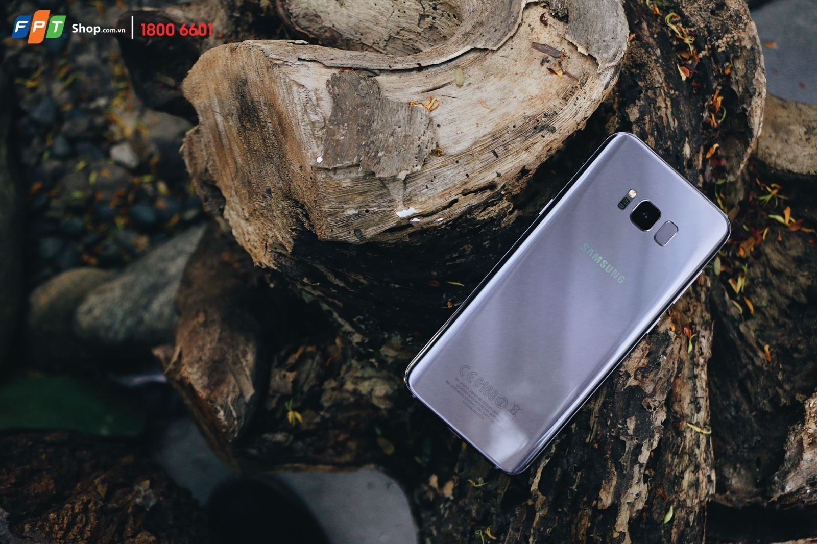 Galaxy S8+ Orchid Gray