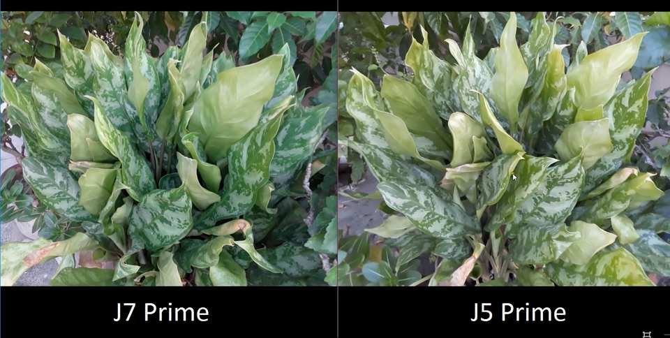 So sánh camera Samsung Galaxy J5 Prime vs Samsung Galaxy J7 Prime