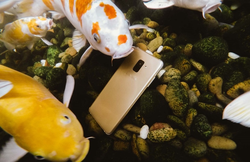Samsung Galaxy A8 và A8 Plus