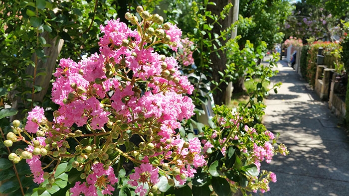 anh-chup-tu-camera-Samsung-Galaxy-Note-Edge