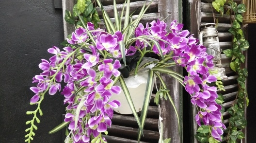 Anh-chup-tu-Oppo_R1k