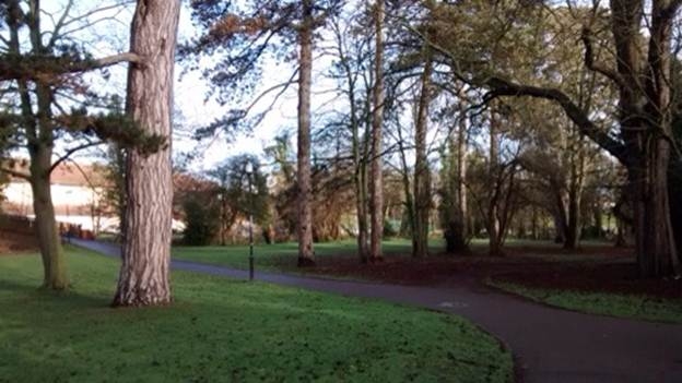 Ảnh chụp từ Moto G