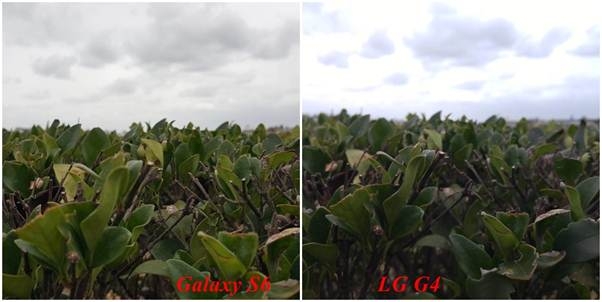 ảnh được chụp từ camera chính của Galaxy S6 và LG G4
