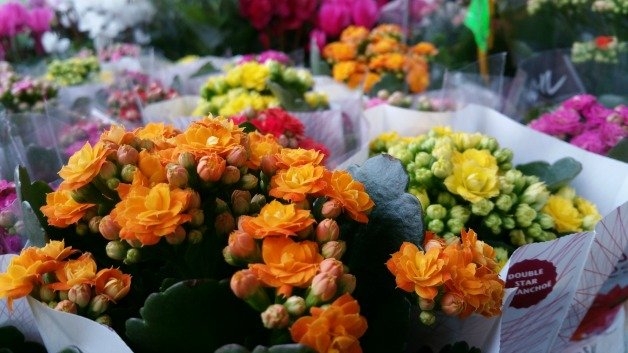 Anh chup tu Galaxy Note 4