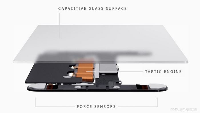 Cảm ứng lực Force Touch