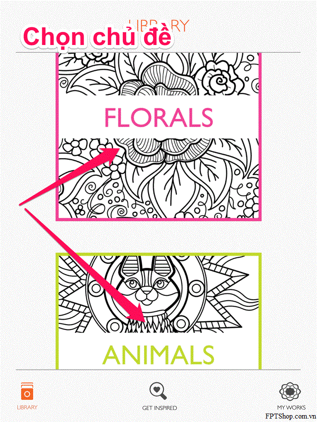 Cách sử dụng Colorfy