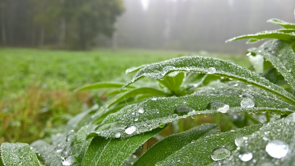 Có gì mới trong máy ảnh Microsoft Lumia 950 và 950 XL