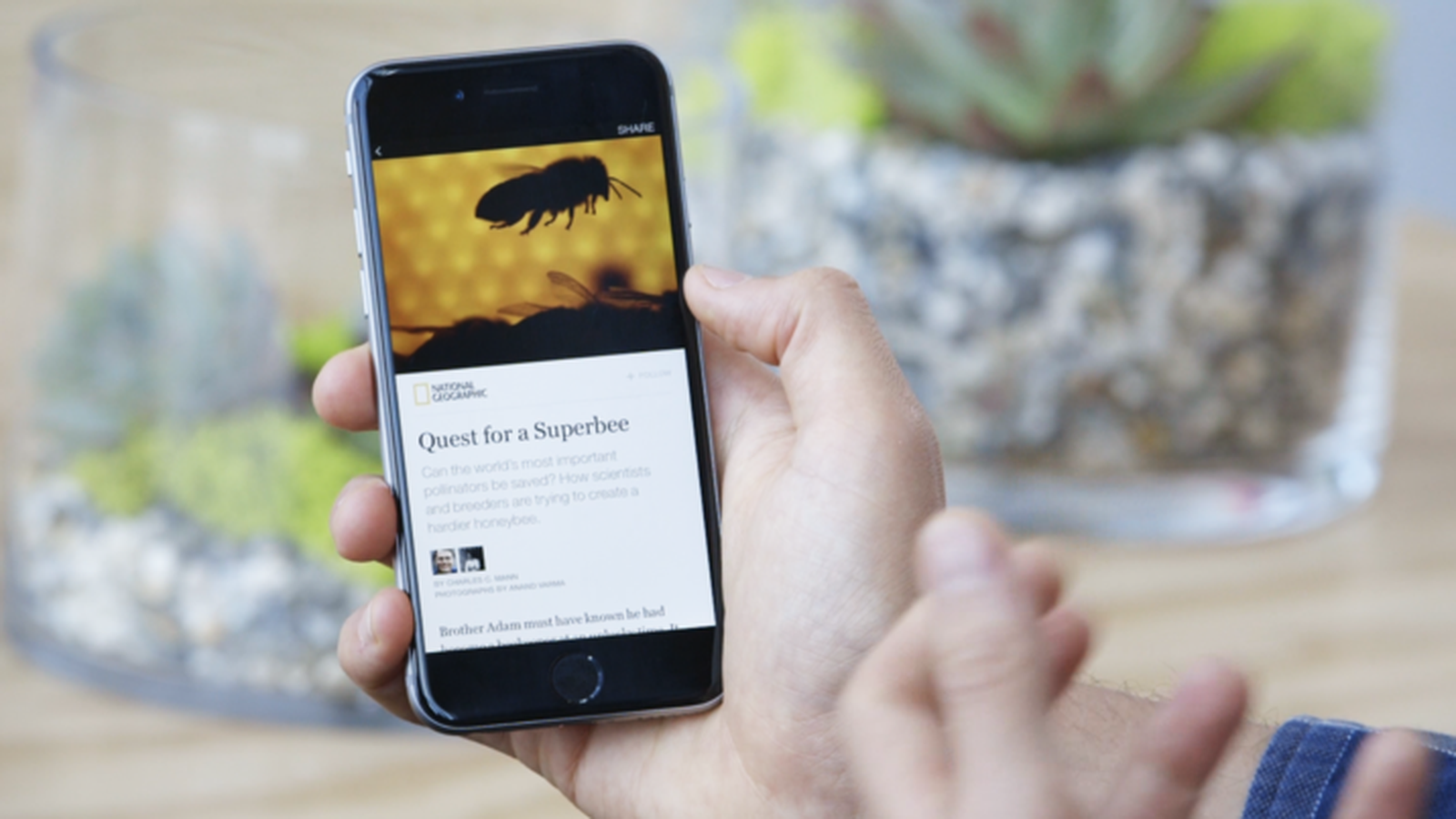 Hiện tại, Instant Articles mới chỉ được áp dụng cho các thiết bị iOS