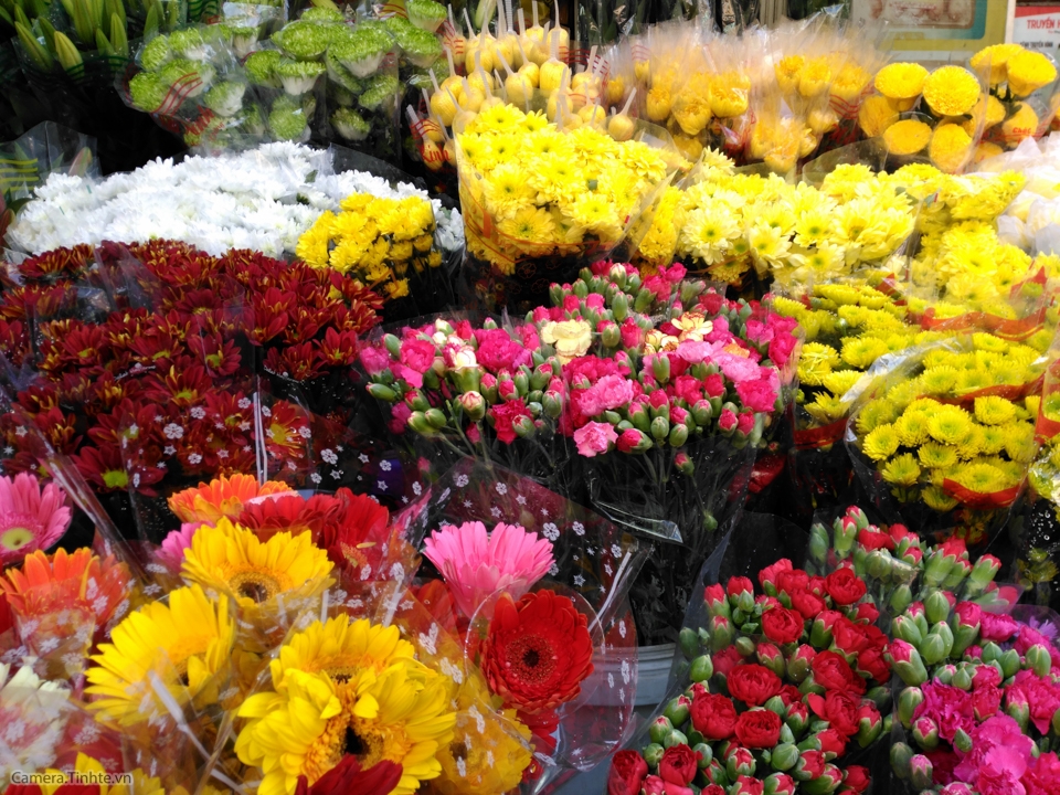 anh chup thu Obi SF1 tinhte-17.