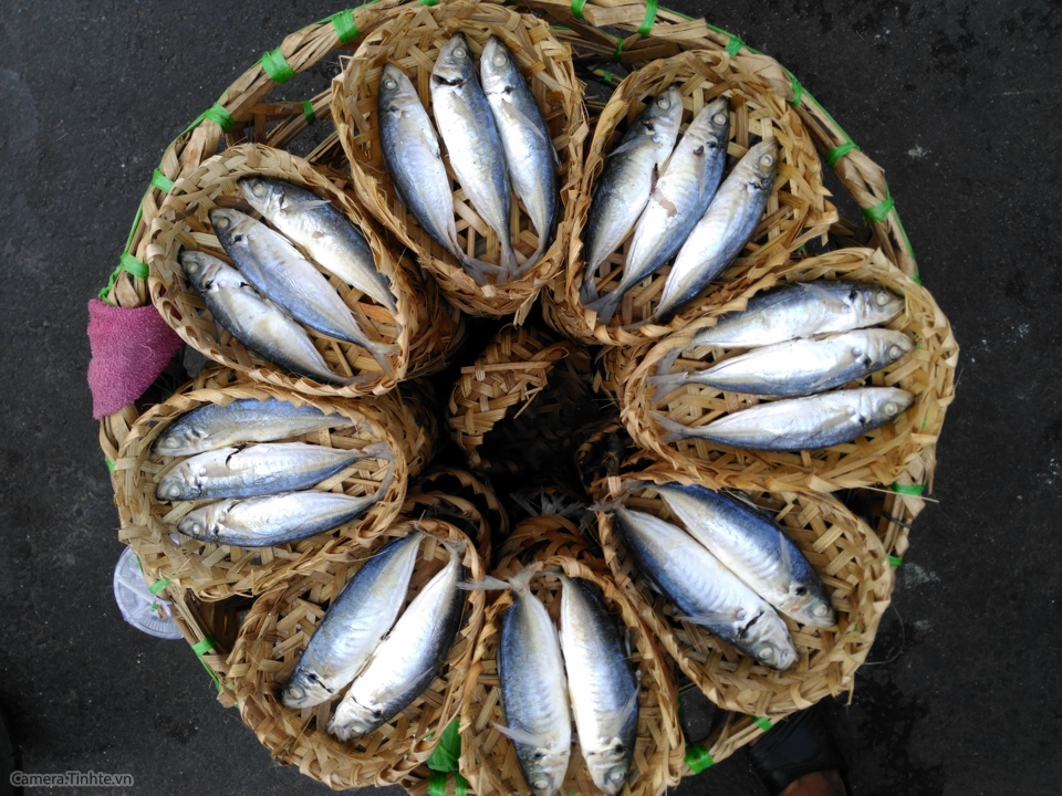 anh chup thu Obi SF1 tinhte-18.