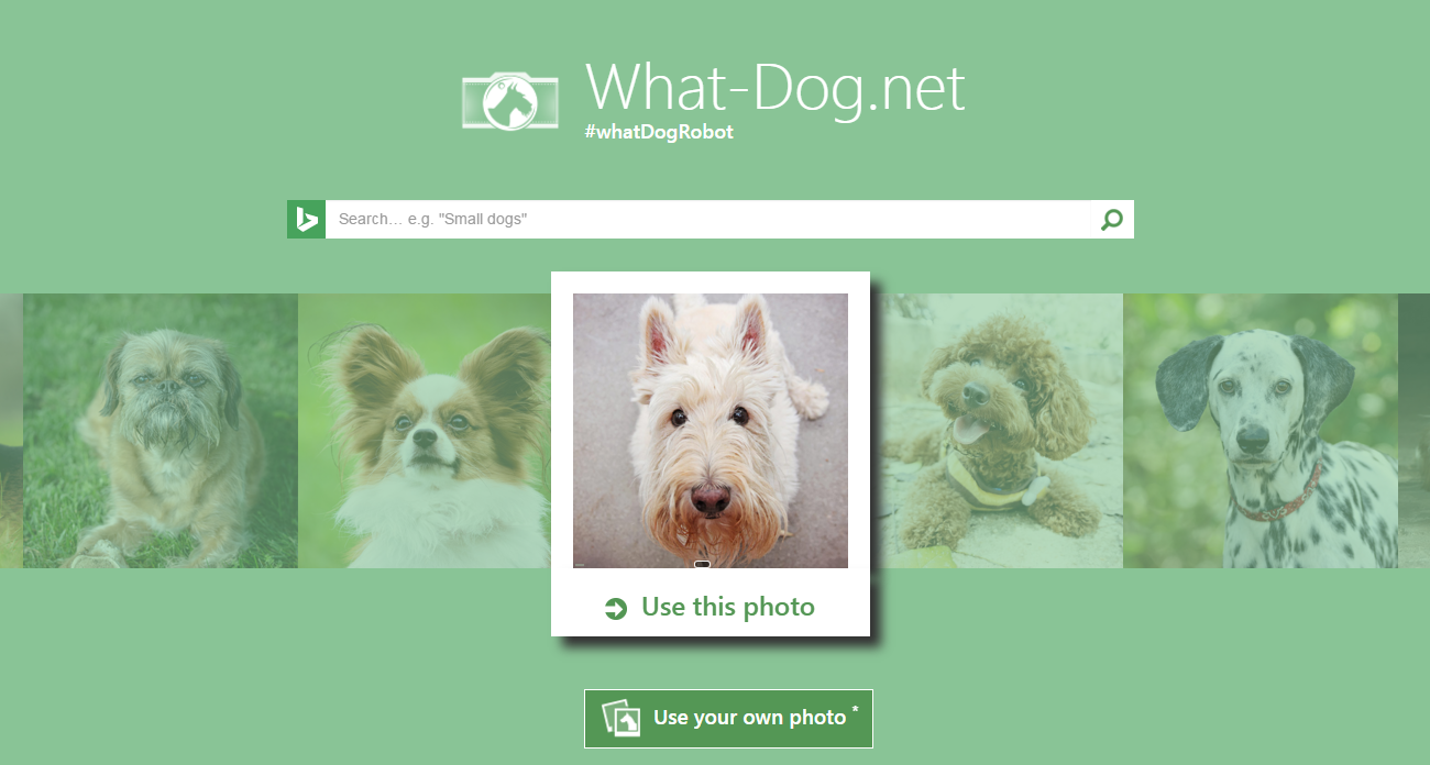 Ứng dụng Fetch