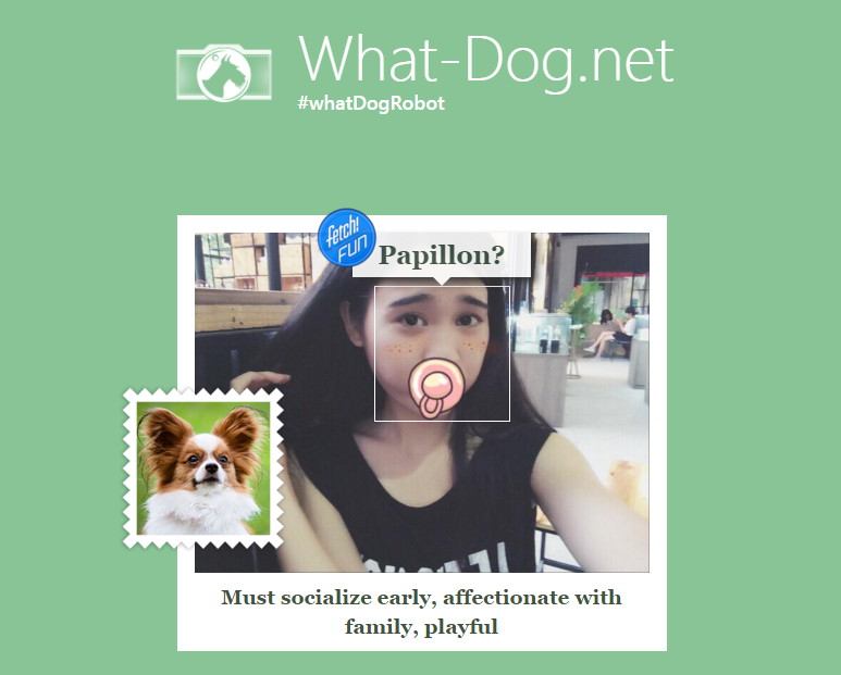 Trải nghiệm ứng dụng Fetch - Bạn là loài chó nào